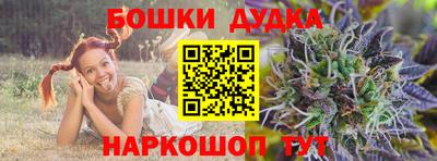 PSILOCYBIN Новоалтайск