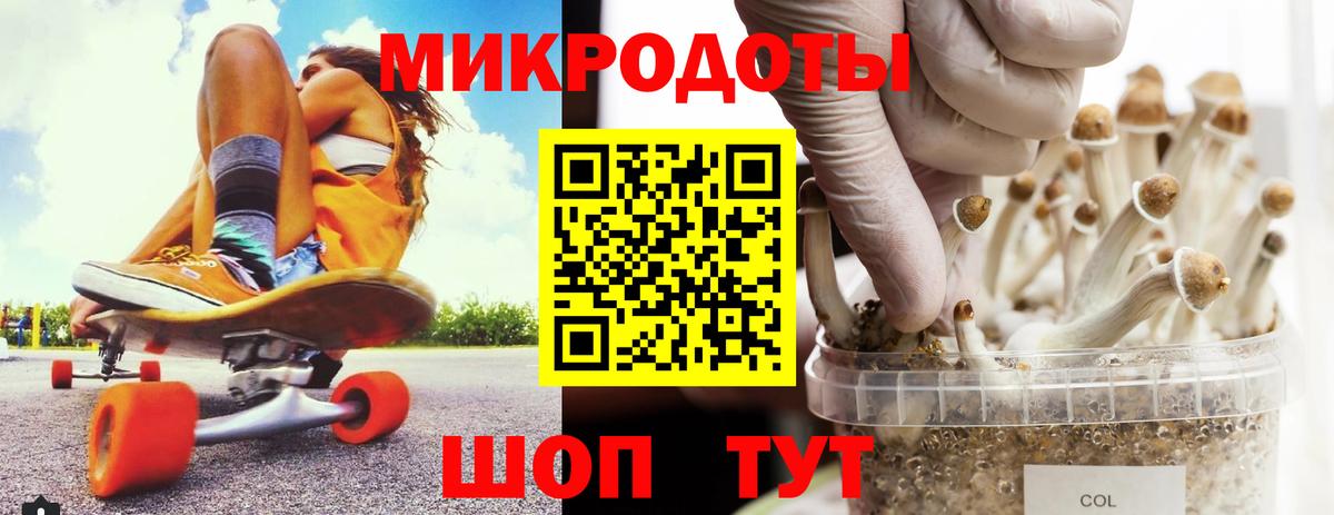 Муравленко  Псилоцибиновые грибы Psilocybe  Вход с VPN 